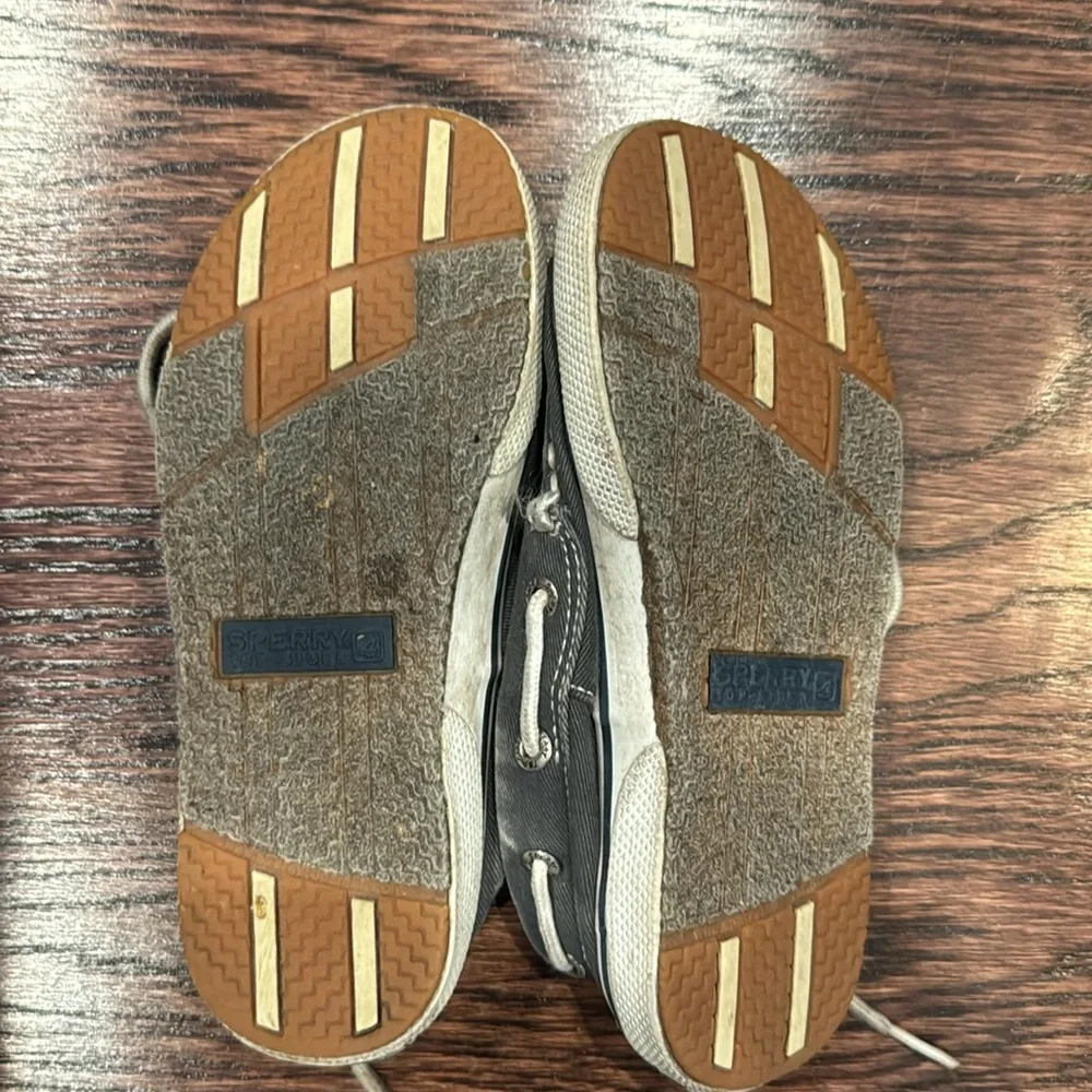 Sperry Shoe